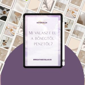 Mi választ el a bőségtől és a pénztől -csomag